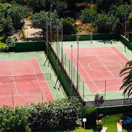 Verano Eterno En Mallorca - Alcudia! Exterior photo